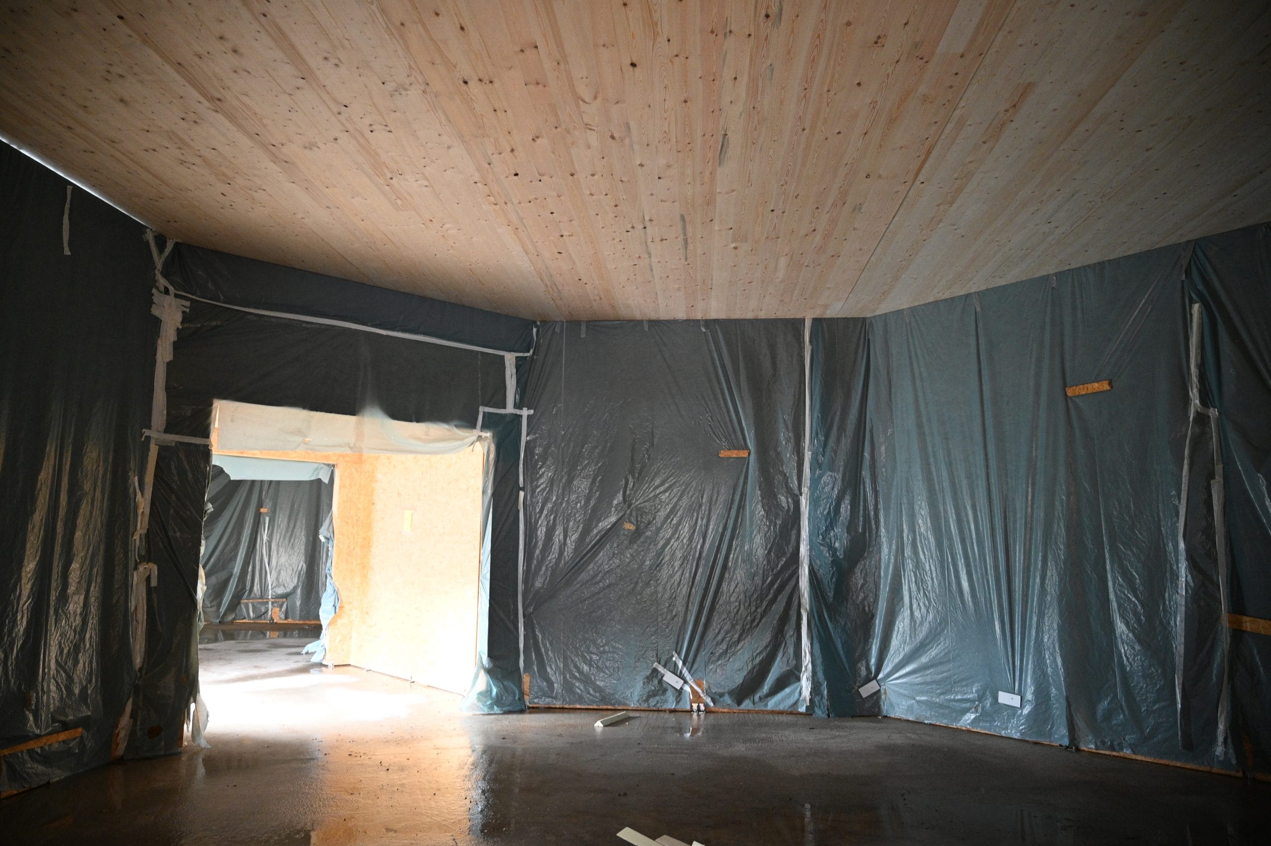 Image 2 from article