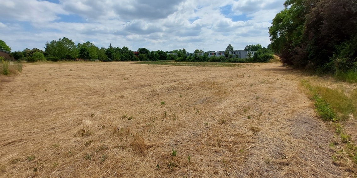 Bauerlaubnis erteilt